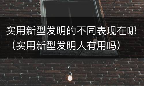 实用新型发明的不同表现在哪（实用新型发明人有用吗）