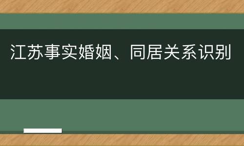 江苏事实婚姻、同居关系识别