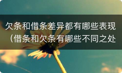 欠条和借条差异都有哪些表现（借条和欠条有哪些不同之处）