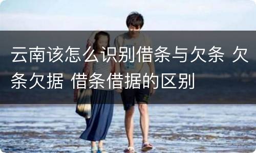 云南该怎么识别借条与欠条 欠条欠据 借条借据的区别