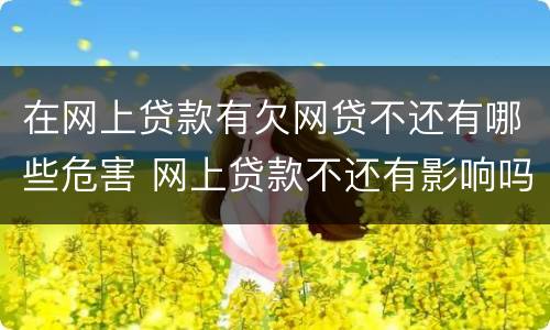 在网上贷款有欠网贷不还有哪些危害 网上贷款不还有影响吗