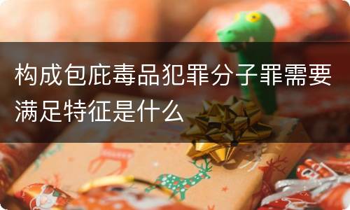 构成包庇毒品犯罪分子罪需要满足特征是什么