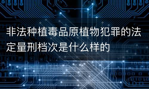 非法种植毒品原植物犯罪的法定量刑档次是什么样的