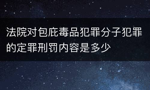 法院对包庇毒品犯罪分子犯罪的定罪刑罚内容是多少