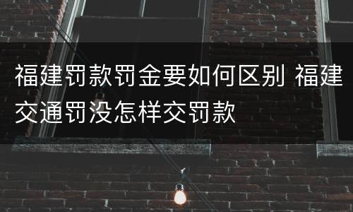 福建罚款罚金要如何区别 福建交通罚没怎样交罚款