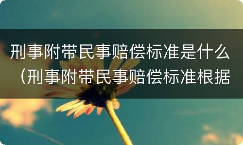 刑事附带民事赔偿标准是什么（刑事附带民事赔偿标准根据什么）