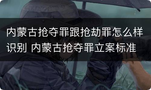 内蒙古抢夺罪跟抢劫罪怎么样识别 内蒙古抢夺罪立案标准