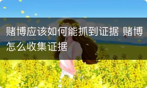 赌博应该如何能抓到证据 赌博怎么收集证据