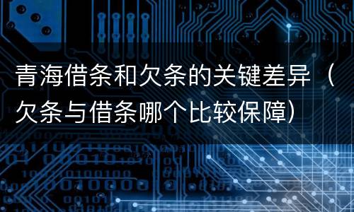 青海借条和欠条的关键差异（欠条与借条哪个比较保障）