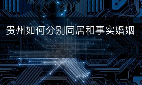 贵州如何分别同居和事实婚姻