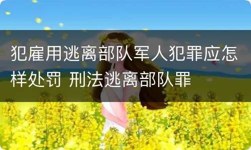 犯雇用逃离部队军人犯罪应怎样处罚 刑法逃离部队罪