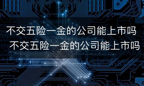 不交五险一金的公司能上市吗 不交五险一金的公司能上市吗知乎