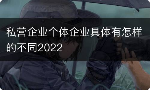私营企业个体企业具体有怎样的不同2022