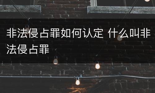 非法侵占罪如何认定 什么叫非法侵占罪