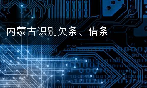 内蒙古识别欠条、借条