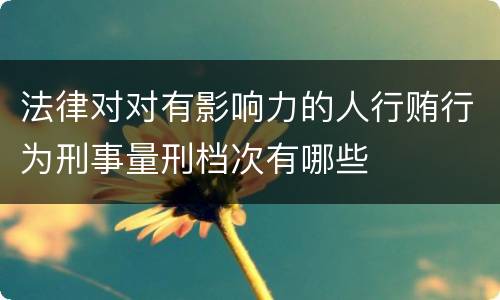 法律对对有影响力的人行贿行为刑事量刑档次有哪些