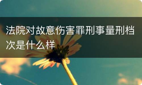 法院对故意伤害罪刑事量刑档次是什么样