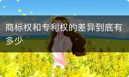 商标权和专利权的差异到底有多少