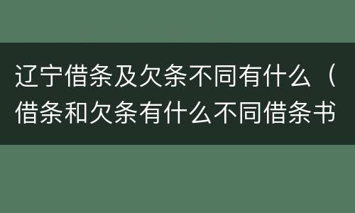 辽宁借条及欠条不同有什么（借条和欠条有什么不同借条书写）