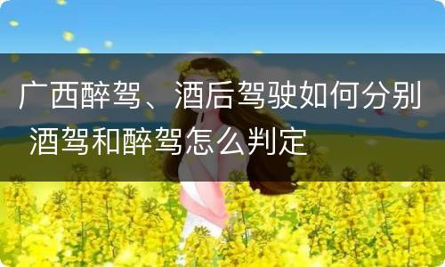 广西醉驾、酒后驾驶如何分别 酒驾和醉驾怎么判定