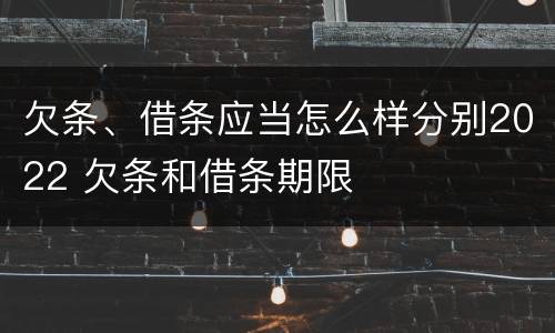 欠条、借条应当怎么样分别2022 欠条和借条期限