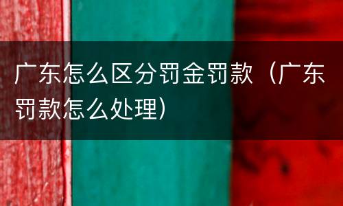 广东怎么区分罚金罚款（广东罚款怎么处理）