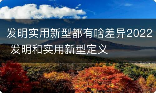 发明实用新型都有啥差异2022 发明和实用新型定义