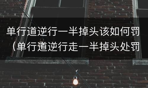 单行道逆行一半掉头该如何罚（单行道逆行走一半掉头处罚吗）