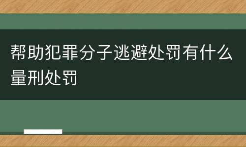 帮助犯罪分子逃避处罚有什么量刑处罚