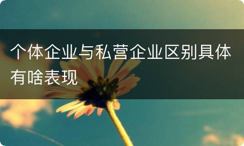 个体企业与私营企业区别具体有啥表现
