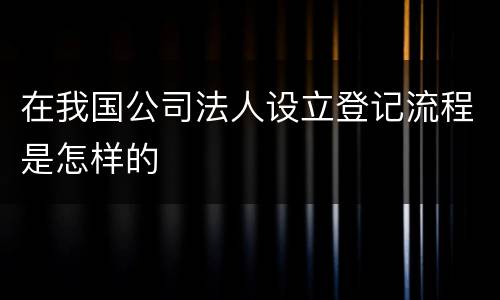 在我国公司法人设立登记流程是怎样的