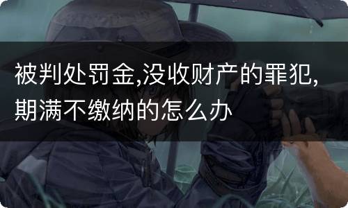 被判处罚金,没收财产的罪犯,期满不缴纳的怎么办