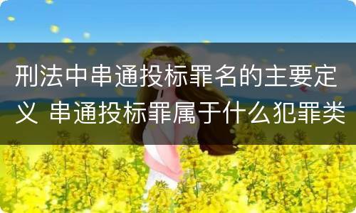 刑法中串通投标罪名的主要定义 串通投标罪属于什么犯罪类型