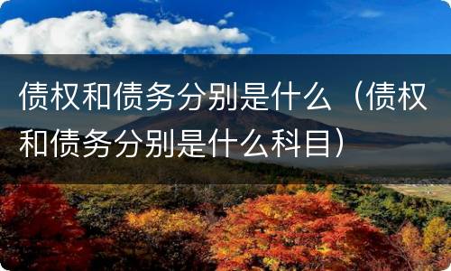 债权和债务分别是什么（债权和债务分别是什么科目）