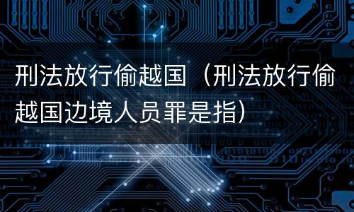 刑法放行偷越国（刑法放行偷越国边境人员罪是指）