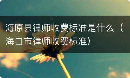 海原县律师收费标准是什么（海口市律师收费标准）