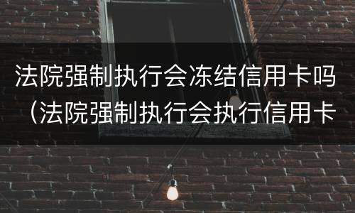 法院强制执行会冻结信用卡吗（法院强制执行会执行信用卡额度吗?）