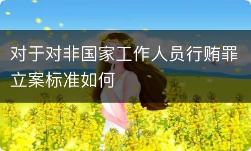 对于对非国家工作人员行贿罪立案标准如何