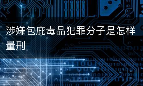 涉嫌包庇毒品犯罪分子是怎样量刑
