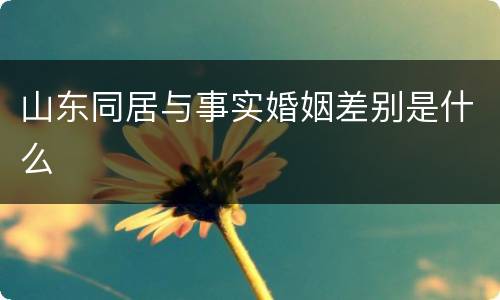 山东同居与事实婚姻差别是什么