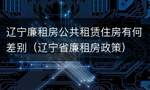 辽宁廉租房公共租赁住房有何差别（辽宁省廉租房政策）