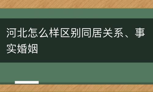 河北怎么样区别同居关系、事实婚姻