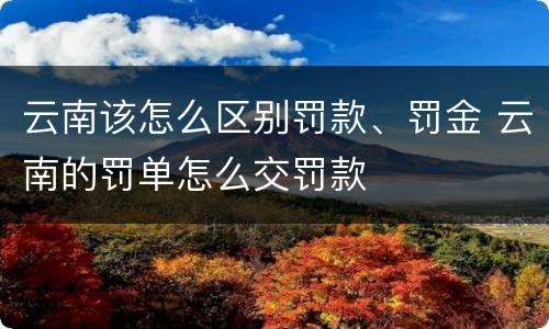 云南该怎么区别罚款、罚金 云南的罚单怎么交罚款