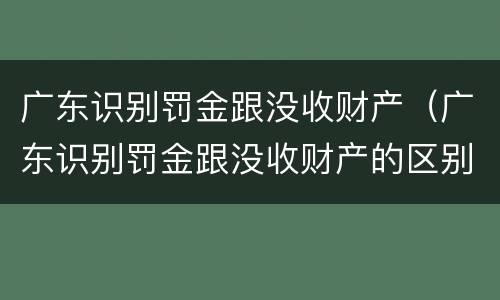 广东识别罚金跟没收财产（广东识别罚金跟没收财产的区别）