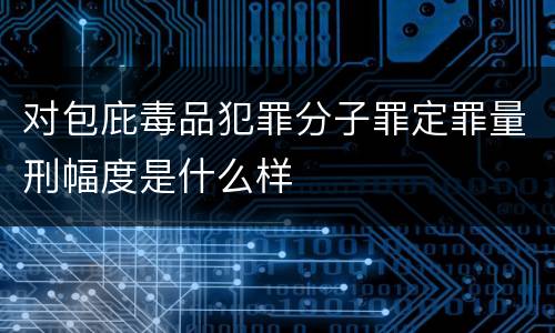 对包庇毒品犯罪分子罪定罪量刑幅度是什么样