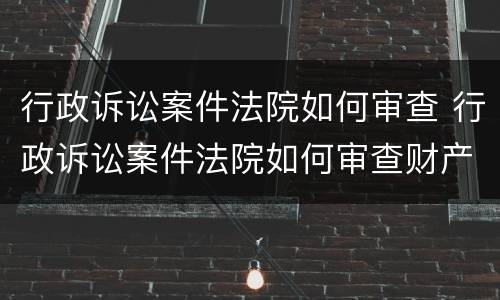 行政诉讼案件法院如何审查 行政诉讼案件法院如何审查财产