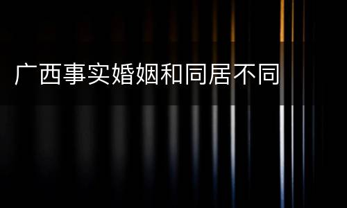 广西事实婚姻和同居不同