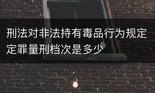 刑法对非法持有毒品行为规定定罪量刑档次是多少