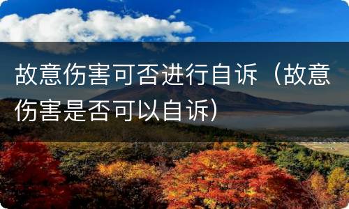 故意伤害可否进行自诉（故意伤害是否可以自诉）