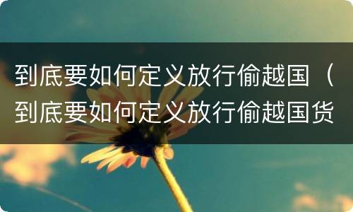 到底要如何定义放行偷越国（到底要如何定义放行偷越国货物）